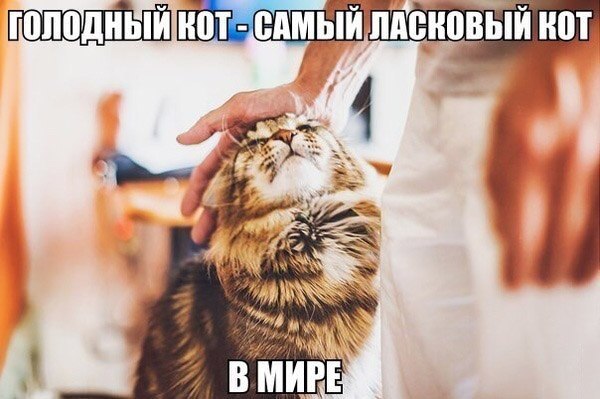    - 14  2019  16:53