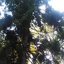 ���� ���������, ���������, 51 ��� - ��������� 1 ������ 2018 � ������ ���� ����������