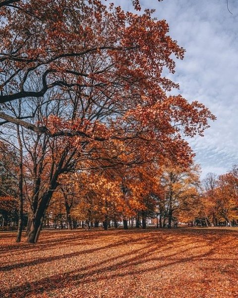 ce  ecapoco ca, ep - 8