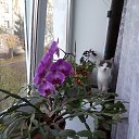 ���� Sergey, ��������, 64 ���� - ��������� 11 ������ 2018 � ������ ���� ����������