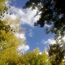 ���� �����, ������, 48 ��� - ��������� 23 �������� 2018 � ������ �������� ���������