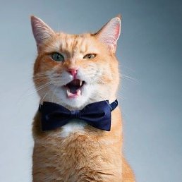 ���� ����, �����-���������, 35 ��� - ��������� 1 ����� 2019