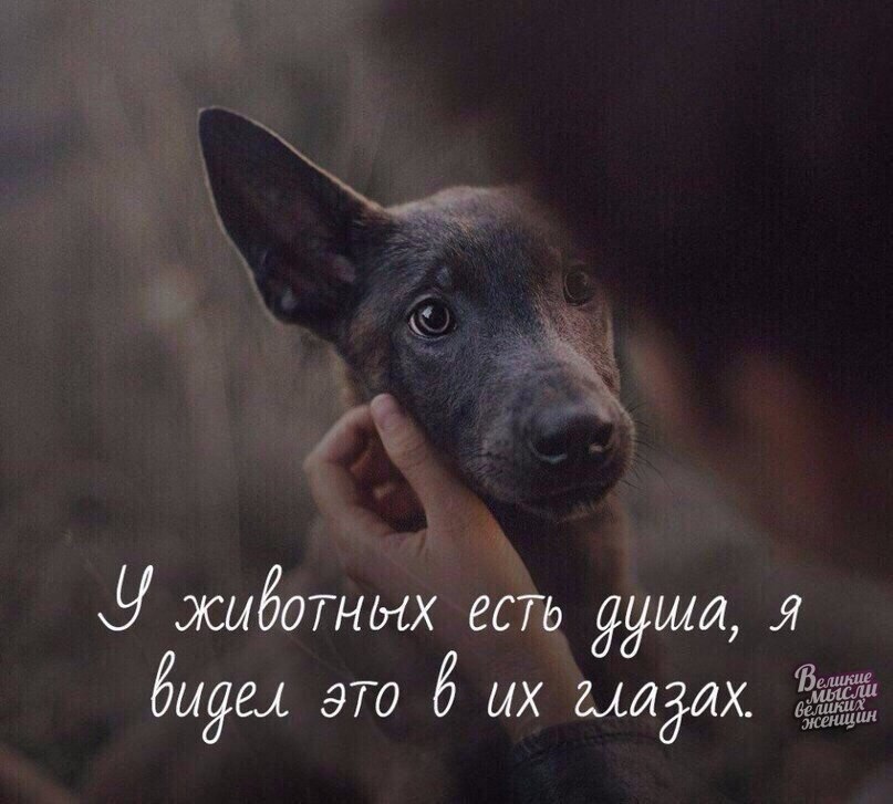     - 27  2018  16:40