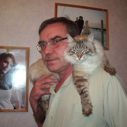 ������, ������, 62 ����