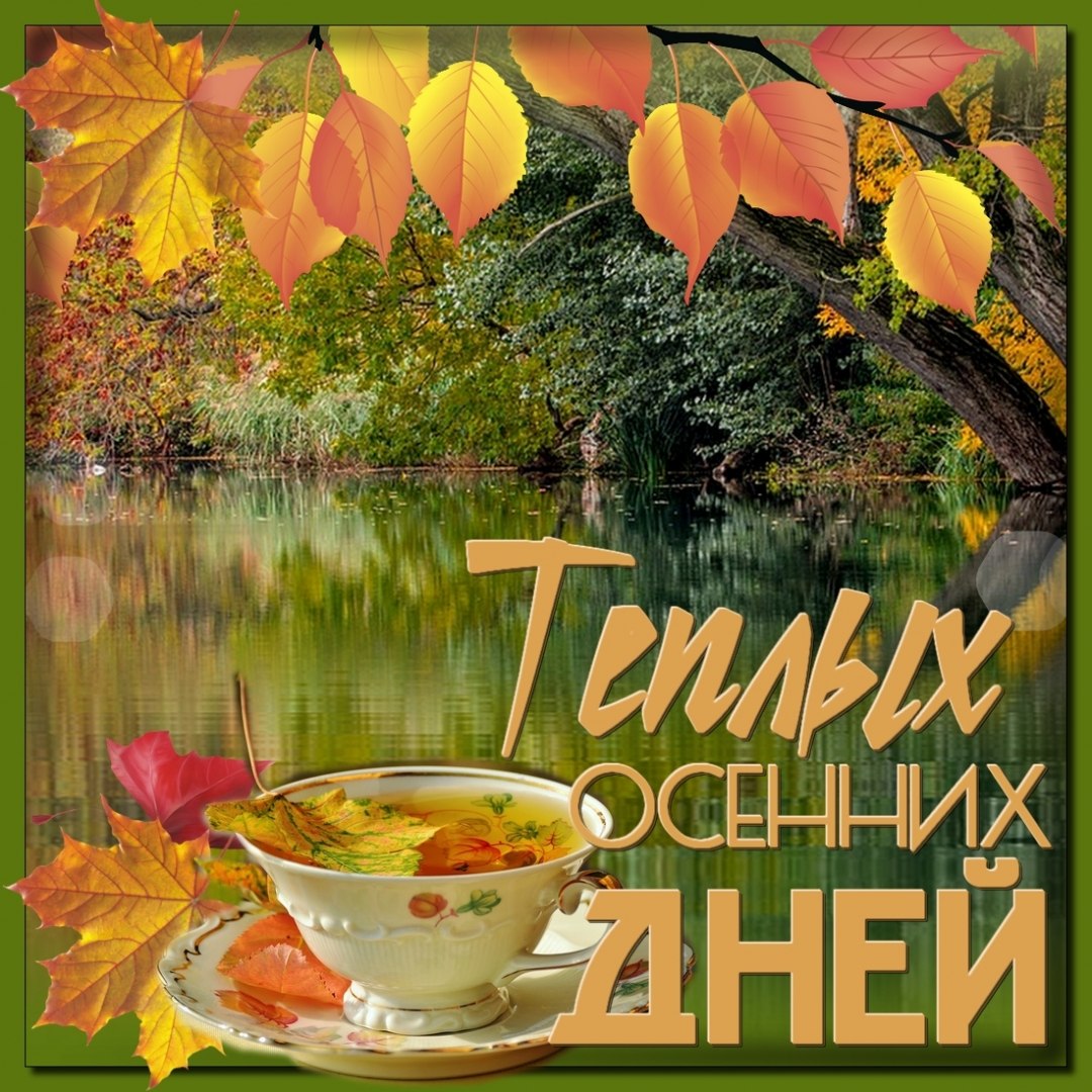  - 15  2018  16:06