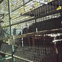 ���� ������, ��������� - ��������� 16 ������� 2018 � ������ ������ ������� �����������