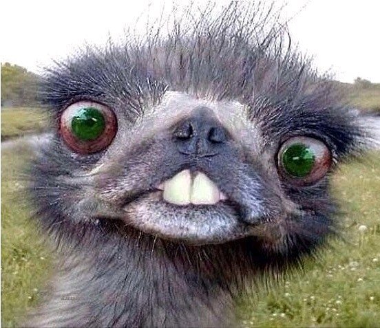 ������ ���� ������ ����� ....