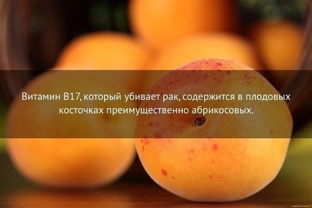   :    - 19  2019  16:56