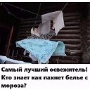 ���� ������, ������, 51 ��� - ��������� 21 �������� 2018 � ������ ������ ��������