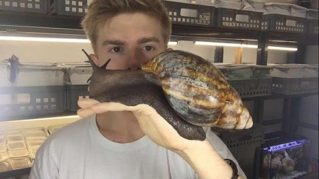   ,   - 