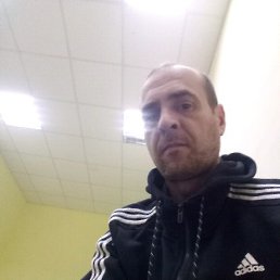 ��������, ������, 49 ���