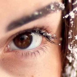 ������, �����-���������, 59 ���