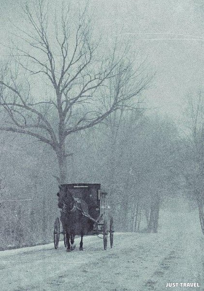 Allworld |    - 5  2018  16:34 - 4