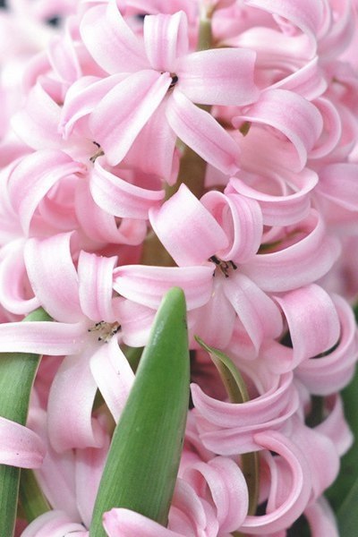  ).      , ,     ... - 4