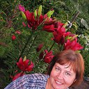 ���� ���������, ����, 49 ��� - ��������� 16 �������� 2018 � ������ ���� ����������