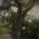 ���� �����, ��������� - ��������� 7 ������� 2018 � ������ ���� ����������