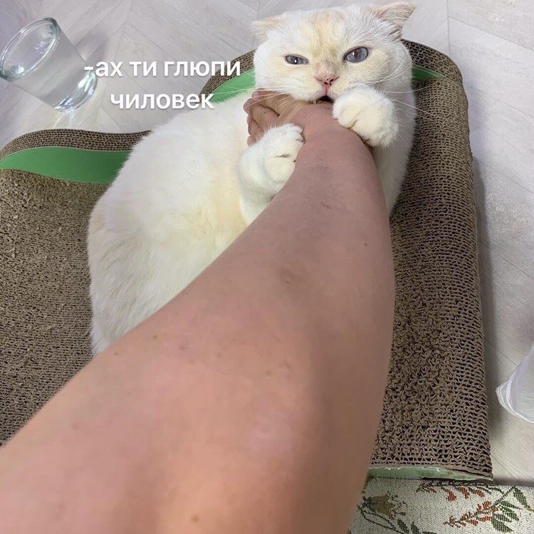 :  - 2
