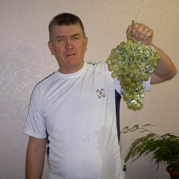 �������, ��������, 62 ����