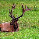  , -, 64  -  9  2019   - 