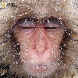 ������, ������, 54 ����