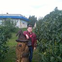  , , 41  -  2  2018      ,,-,