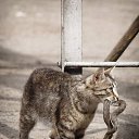 ���� �������, ������ ��������, 58 ��� - ��������� 19 ���� 2018 � ������ ���� ����������