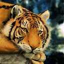 ���� Vladislav, ����� - ��������� 25 ������� 2018 � ������ ���� ����������