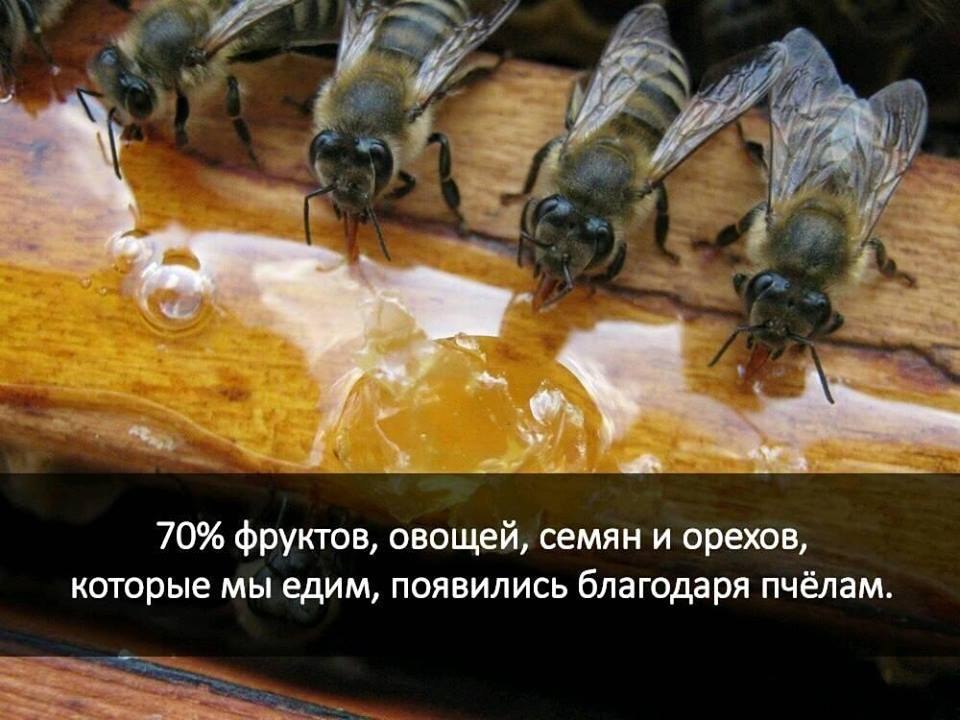  -    ))) - 25  2018  15:16