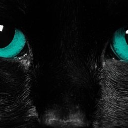 ����, ���������, 27 ���