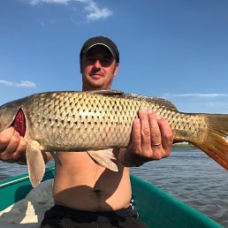 ������, ������, 42 ����