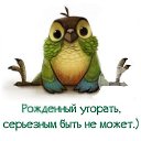  ,  -  27  2019    
