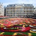 ������� ������� �������� �� ������� �bruxelles�