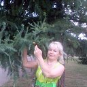 ���� ������, ��������� - ��������� 1 ������� 2018 � ������ ����� ��� ������������