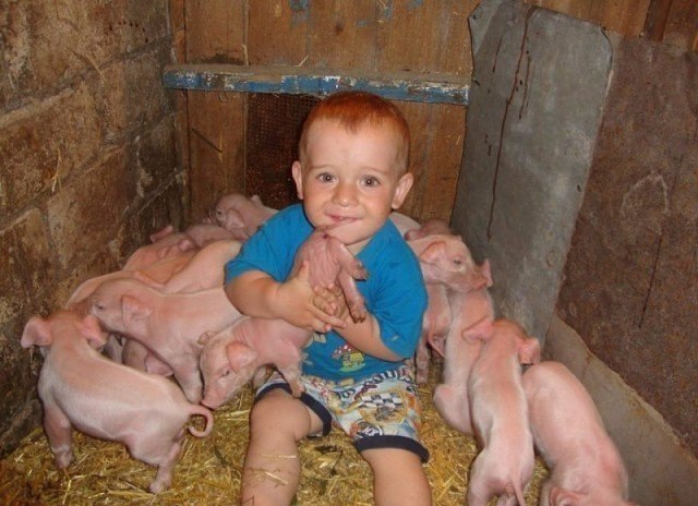         ,   ,  ...   ... - 6