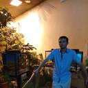 ���� ����, �����������, 41 ��� - ��������� 16 ���� 2018 � ������ ���� ����������