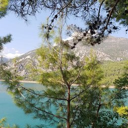 ���� Idor, ��������, 59 ��� - ��������� 16 �������� 2018