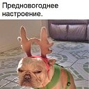 ���� ����, ����, 54 ���� - ��������� 17 ������ 2019