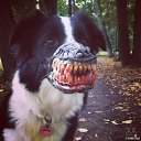 ���� ��������, ������, 66 ��� - ��������� 27 �������� 2018 � ������ ���� ����������