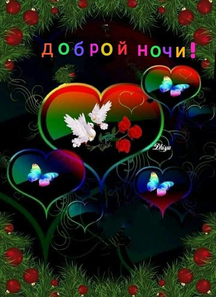   ,    . - 24  2019  21:25