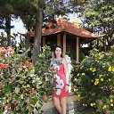 ���� �������, ����� - ��������� 8 ����� 2019 � ������ ���� ����������