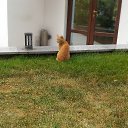  , , 60  -  28  2018   ,  , 2018