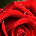 ���� ����, ���������, 35 ��� - ��������� 24 ������� 2019 � ������ ���� ����������