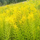 ���� ����, �����������, 54 ���� - ��������� 22 ������� 2018 � ������ ���� ����������