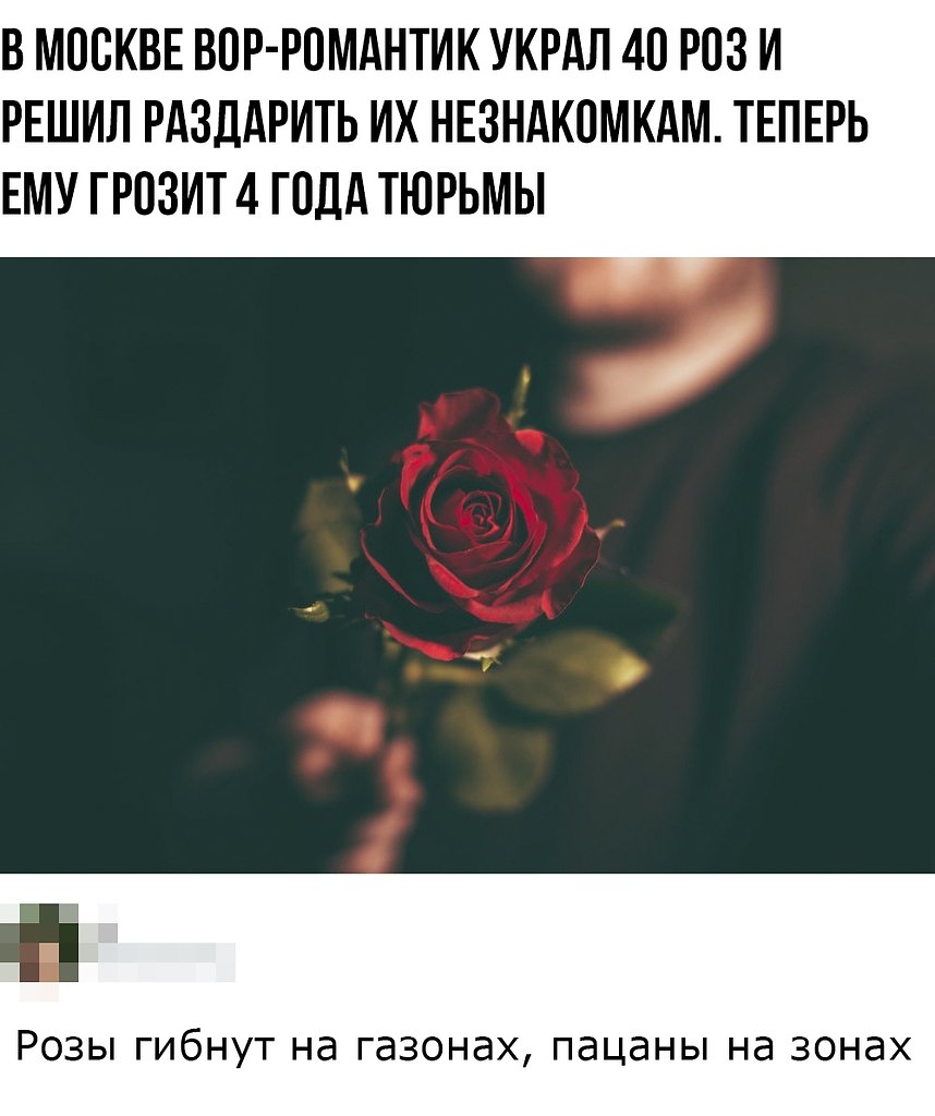 Пацаны гибнут на зонах а розы. Розы гибнут на газонах а пацаны. Розы гибнут на газонах. Розы любят воду пацаны свободу.