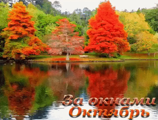 Подари мне, Осень, злато листопада, Подари мне, Осень, сказочный закат, Не дари дожди мне, я прошу, ...