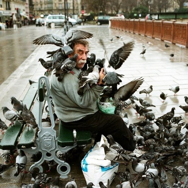 Подборка фотографий на тему
