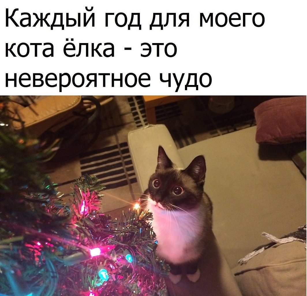  - 11  2018  16:50