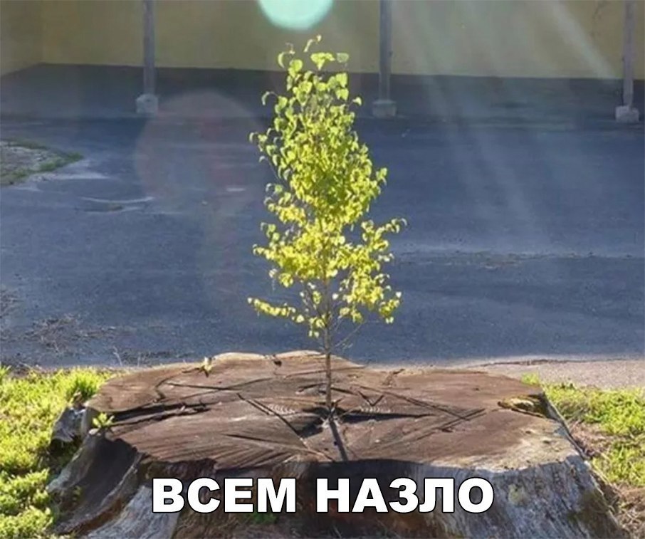    :D - 30  2019  16:53