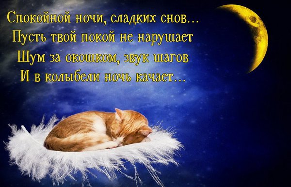 ������ - 23 ������ 2018 � 21:08
