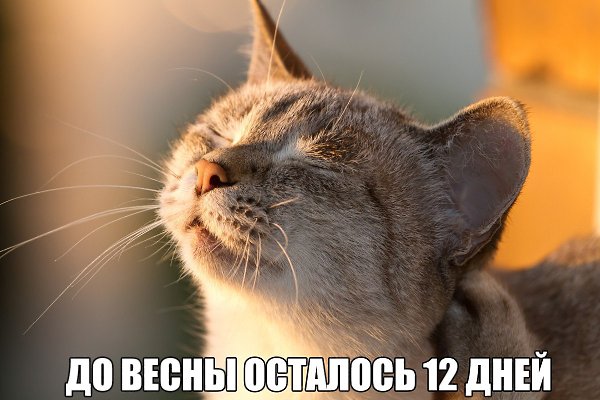 Смейся до слёз :D - 16 февраля 2019 в 17:04